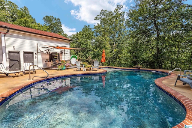 view of pool featuring a patio