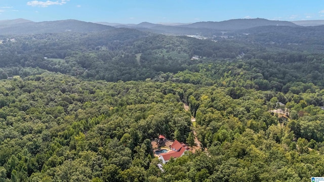 drone / aerial view featuring a mountain view