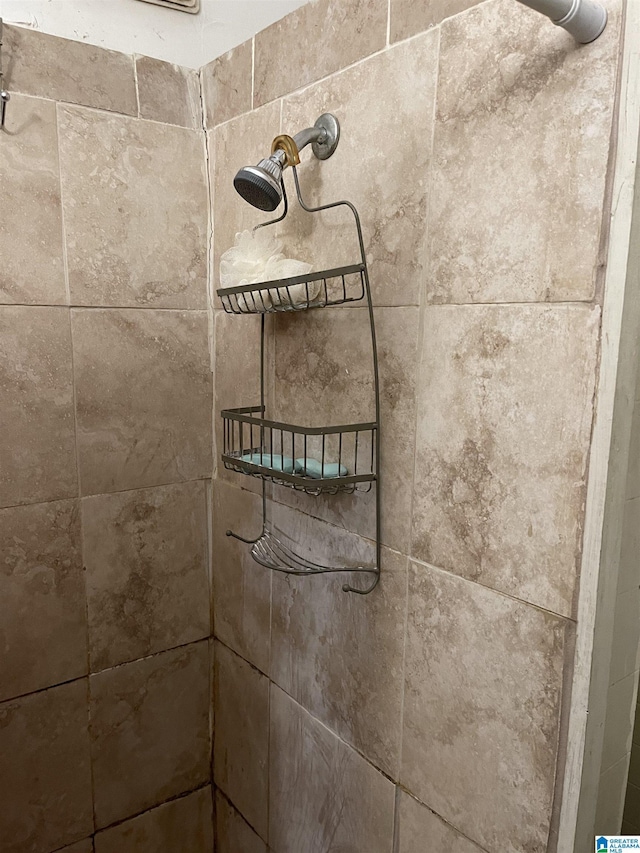 room details with tiled shower