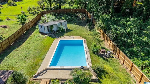 view of swimming pool with a yard and a shed