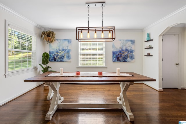 unfurnished dining area featuring crown molding and dark hardwood / wood-style floors