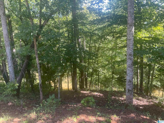 Listing photo 2 for 28 Trails End Ln Unit 19 & 20, Alexander City AL 35010