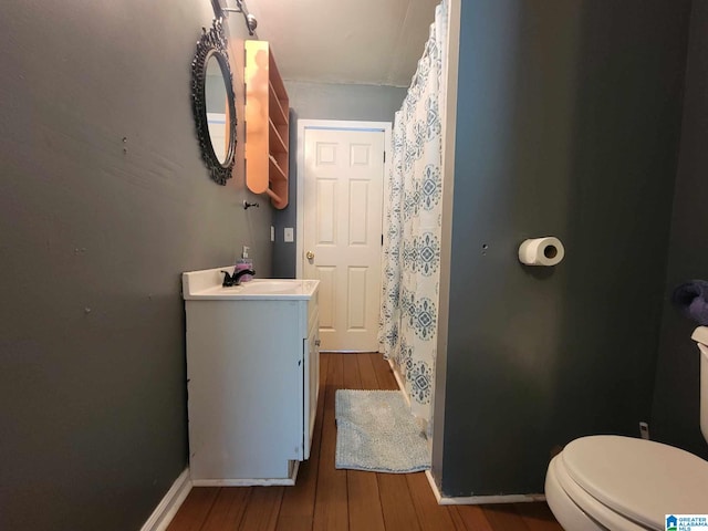 bathroom featuring toilet, vanity, and wood-type flooring