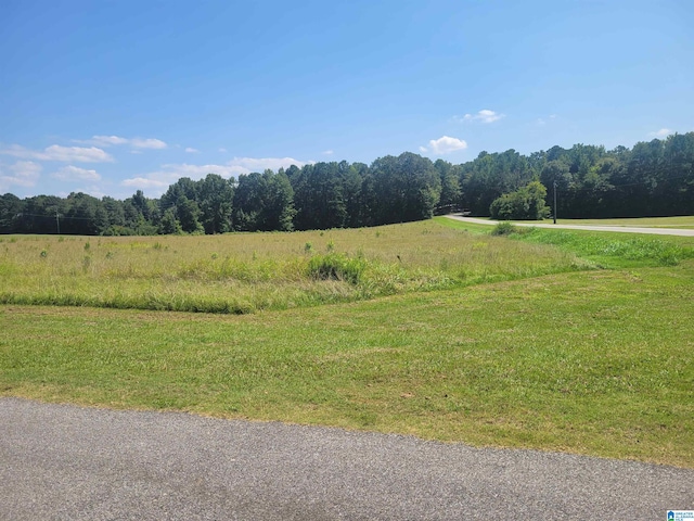 0 Lokey Ln Unit 11, Wilsonville AL, 35186 land for sale