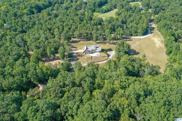 171 Sheeps Xing, Calera, AL 35040 - bird's eye view featuring a view of trees