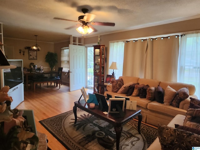 living room featuring plenty of natural light, ceiling fan, crown molding, and light wood-type flooring