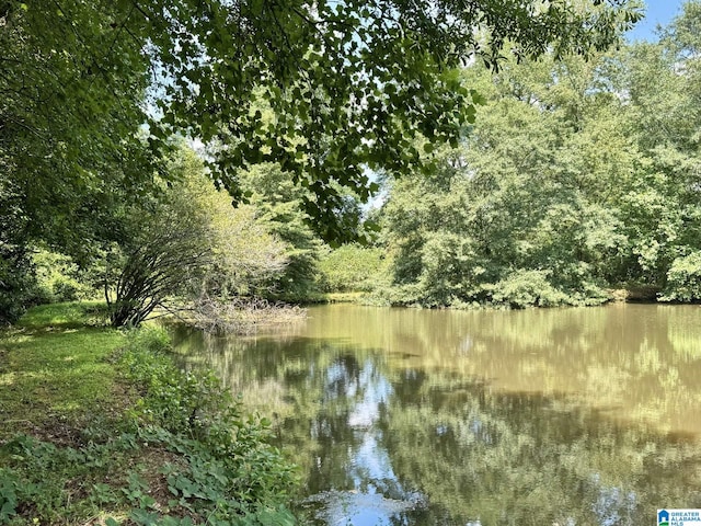 view of water feature