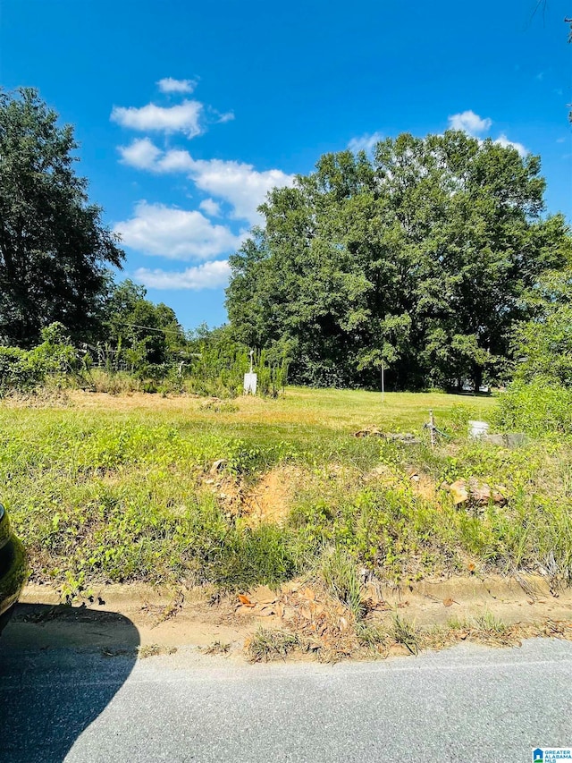 0 Magnolia Dr Unit 16, Sylacauga, AL 35150