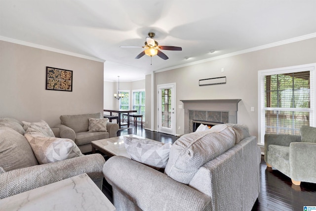 living room with a premium fireplace, ornamental molding, dark wood-type flooring, and ceiling fan with notable chandelier