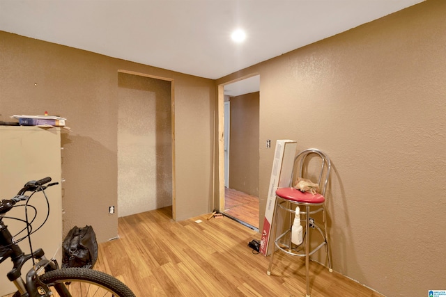 interior space featuring light wood-type flooring