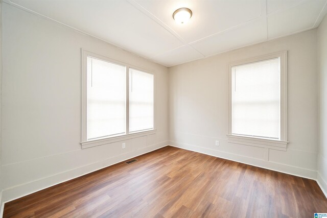 spare room featuring wood-type flooring