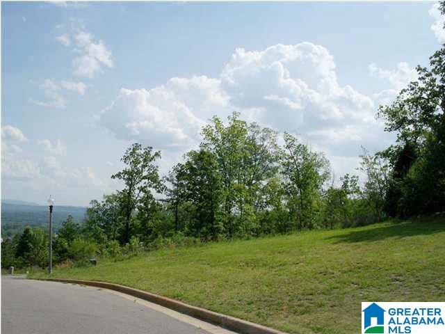 0 Eagle Pass Way Unit 2, Anniston AL, 36207 land for sale