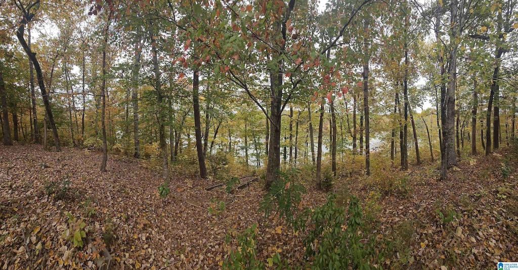 view of local wilderness