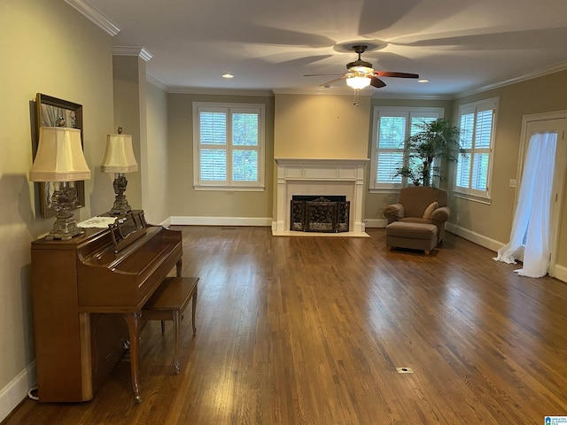 living room with plenty of natural light, a fireplace, ornamental molding, and dark wood-type flooring