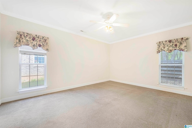 empty room featuring ceiling fan, carpet, and crown molding