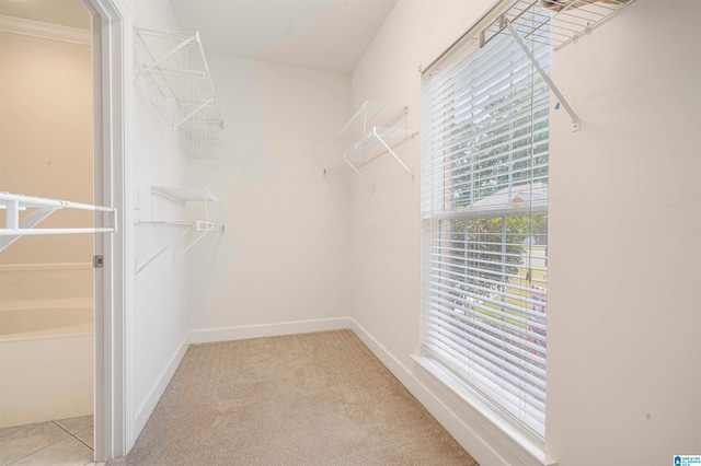 walk in closet with light colored carpet