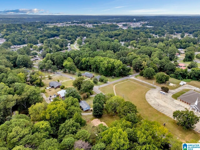 bird's eye view