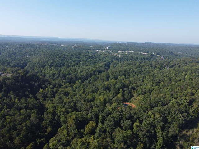 916 Walnut St Unit 142A, Birmingham, AL 35210