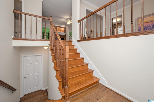 stairway featuring wood-type flooring and ceiling fan