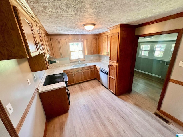 kitchen with stainless steel dishwasher, light hardwood / wood-style floors, light stone countertops, sink, and a textured ceiling