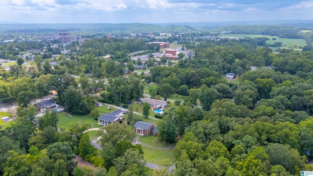 aerial view