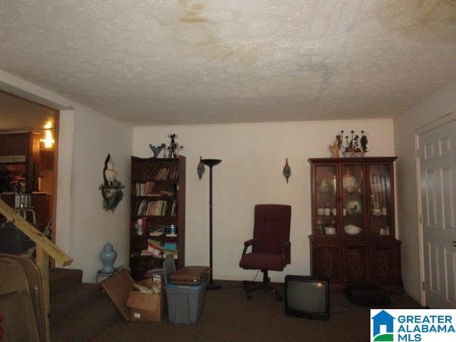 living room with carpet flooring and a textured ceiling