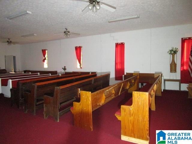 interior space featuring ceiling fan, a textured ceiling, and carpet flooring