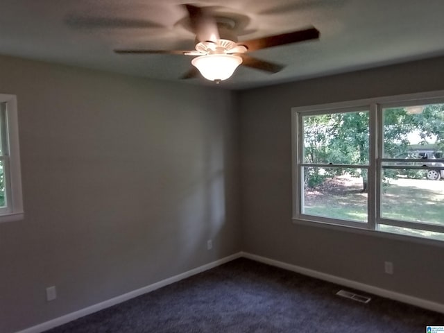 spare room featuring a wealth of natural light, ceiling fan, and carpet