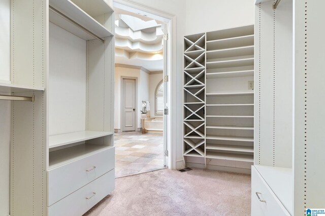 walk in closet with a raised ceiling and light colored carpet