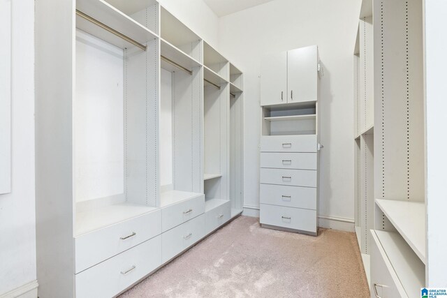 spacious closet featuring light carpet