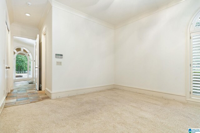 carpeted empty room with crown molding