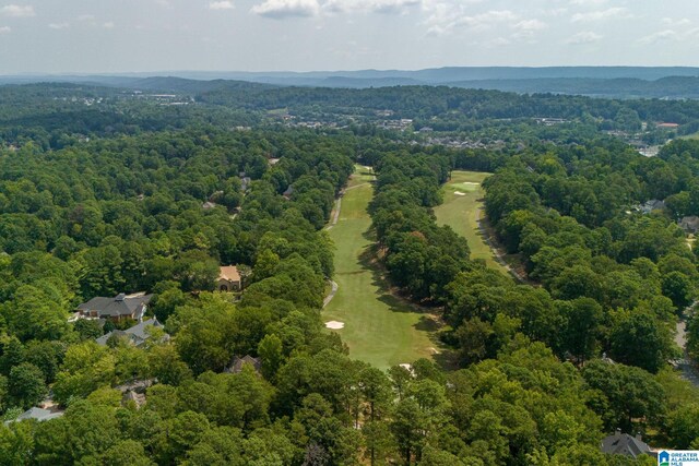 bird's eye view