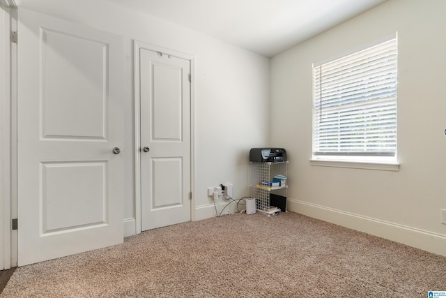 interior space featuring carpet floors