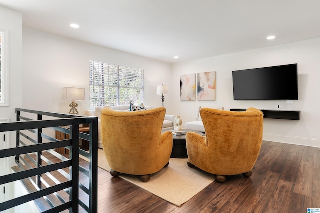 living room with dark hardwood / wood-style floors