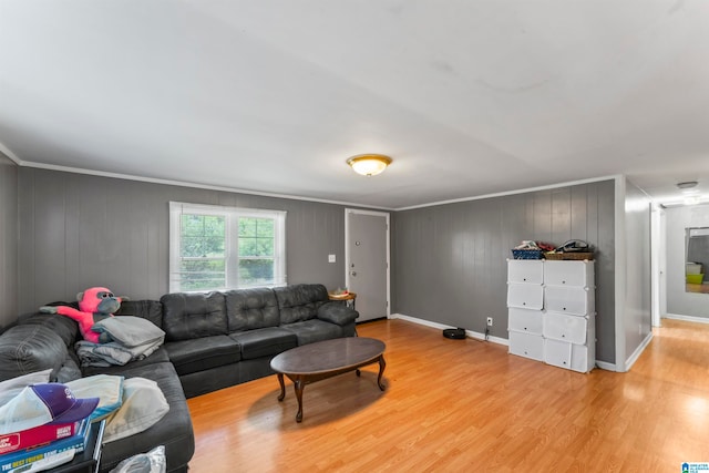 living room with light hardwood / wood-style floors and crown molding