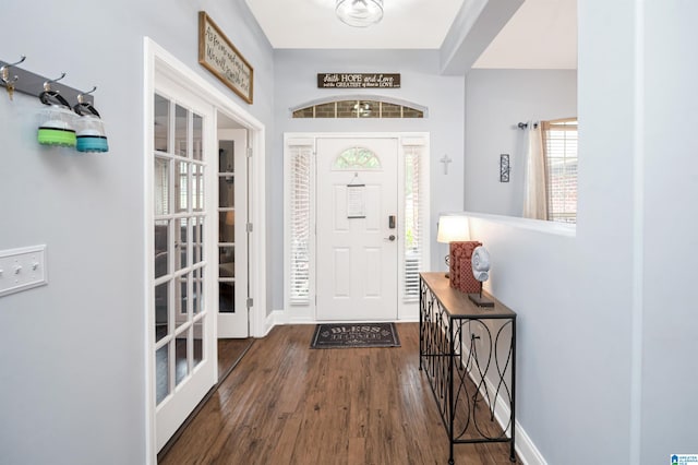 entryway featuring dark hardwood / wood-style flooring and a healthy amount of sunlight