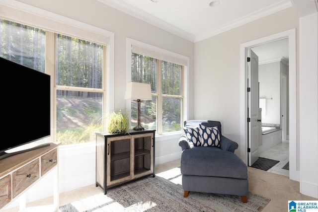 living area with light colored carpet and crown molding