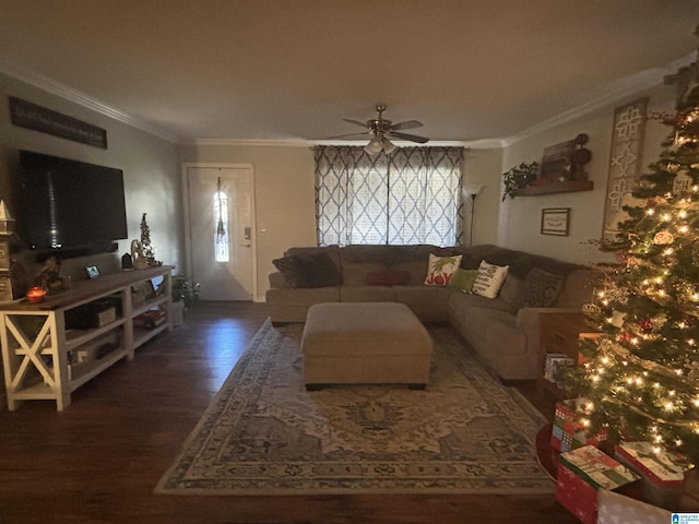 living room featuring dark hardwood / wood-style flooring, ceiling fan, and crown molding