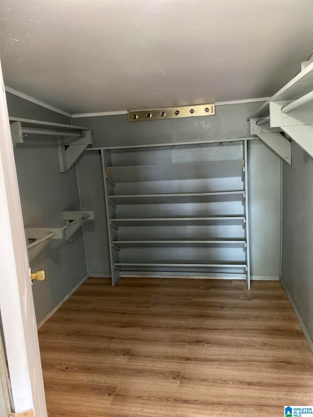 walk in closet featuring hardwood / wood-style flooring