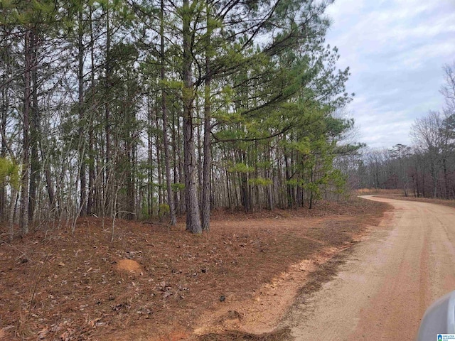 LOT10 County Road 116 Unit 10, Heflin AL, 36264 land for sale