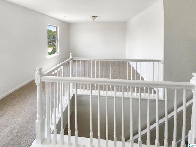 stairs with carpet flooring