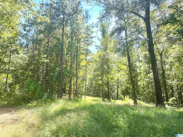 LOT3B Cabin Rd Unit 3B, Bessemer AL, 35022 land for sale