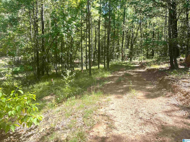 Listing photo 2 for LOT3B Cabin Rd Unit 3B, Bessemer AL 35022