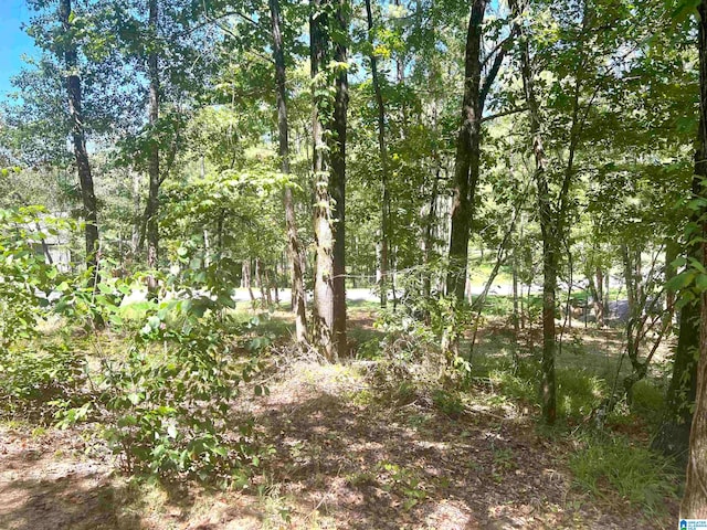 Listing photo 3 for LOT3B Cabin Rd Unit 3B, Bessemer AL 35022