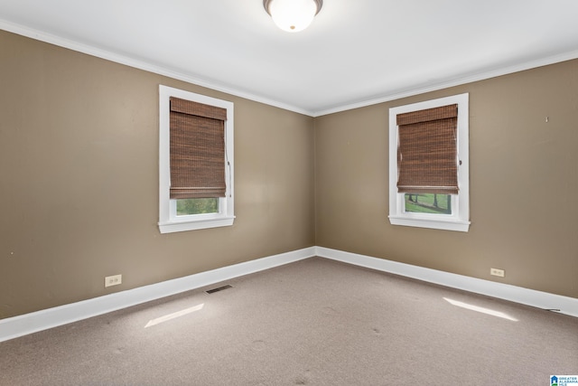 spare room featuring crown molding and carpet floors