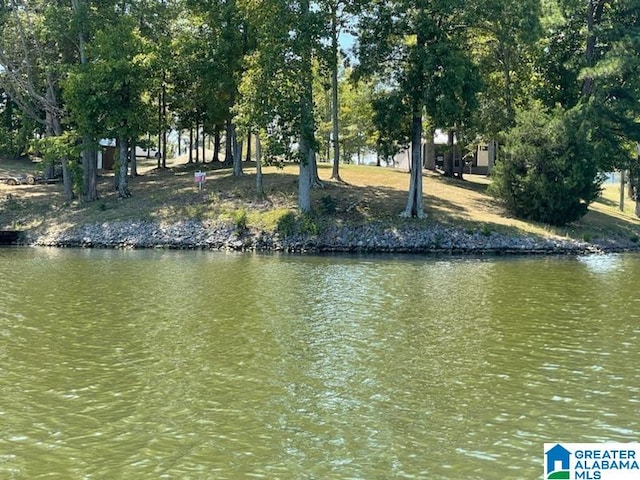 view of water feature