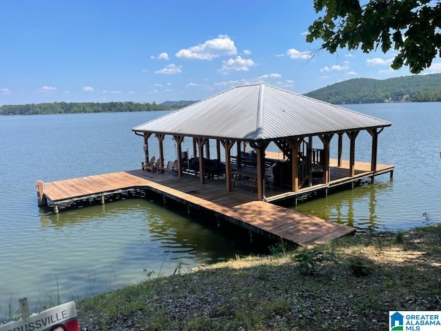 dock area with a water view