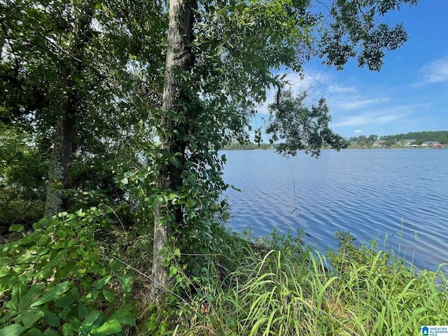 LOT19 Cedar Creek Dr Unit 19, Sylacauga, AL 35151