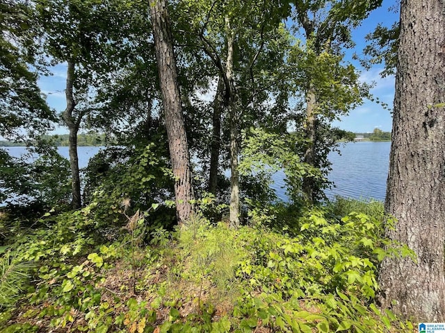 LOT19 Cedar Creek Dr Unit 19, Sylacauga, AL 35151