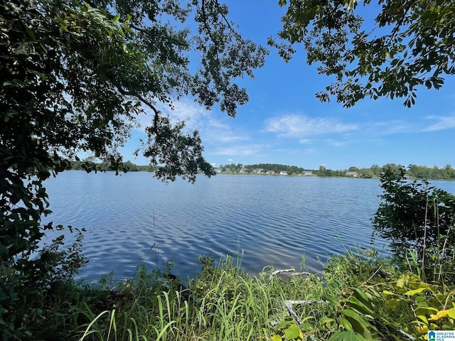 LOT19 Cedar Creek Dr Unit 19, Sylacauga, AL 35151